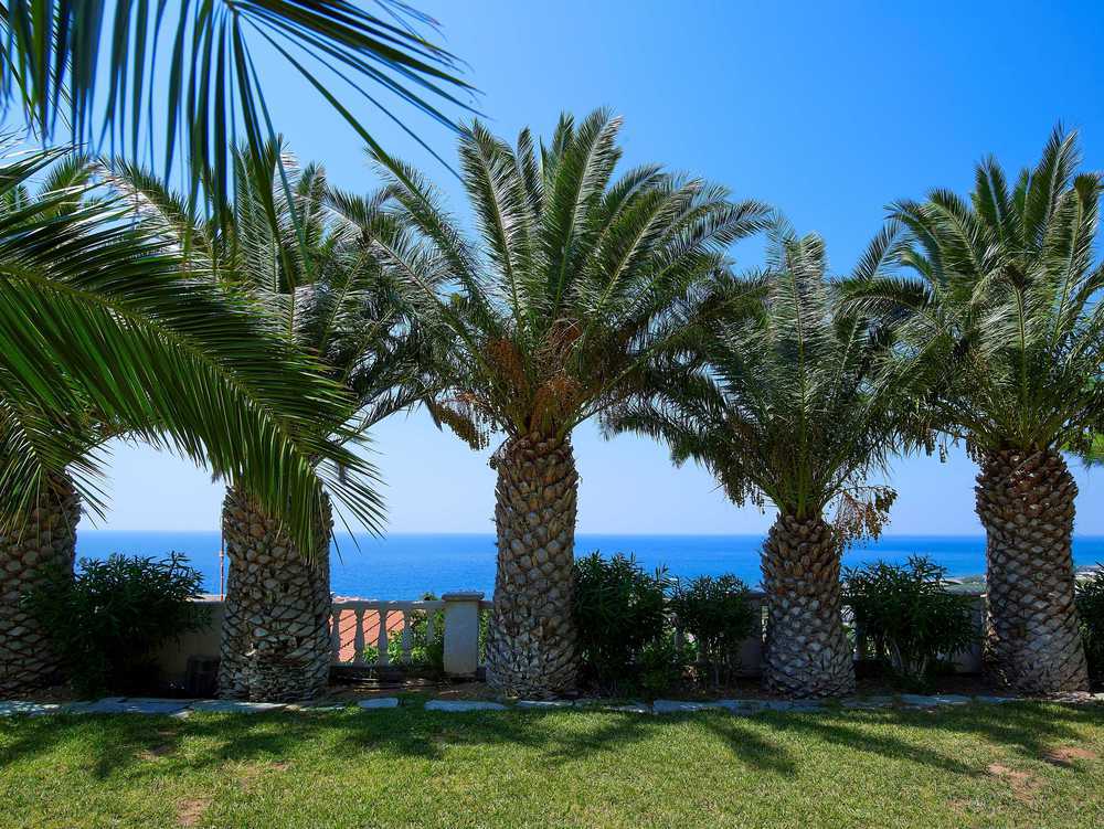 Aroma Creta Hotell Koutsounari Interiør bilde